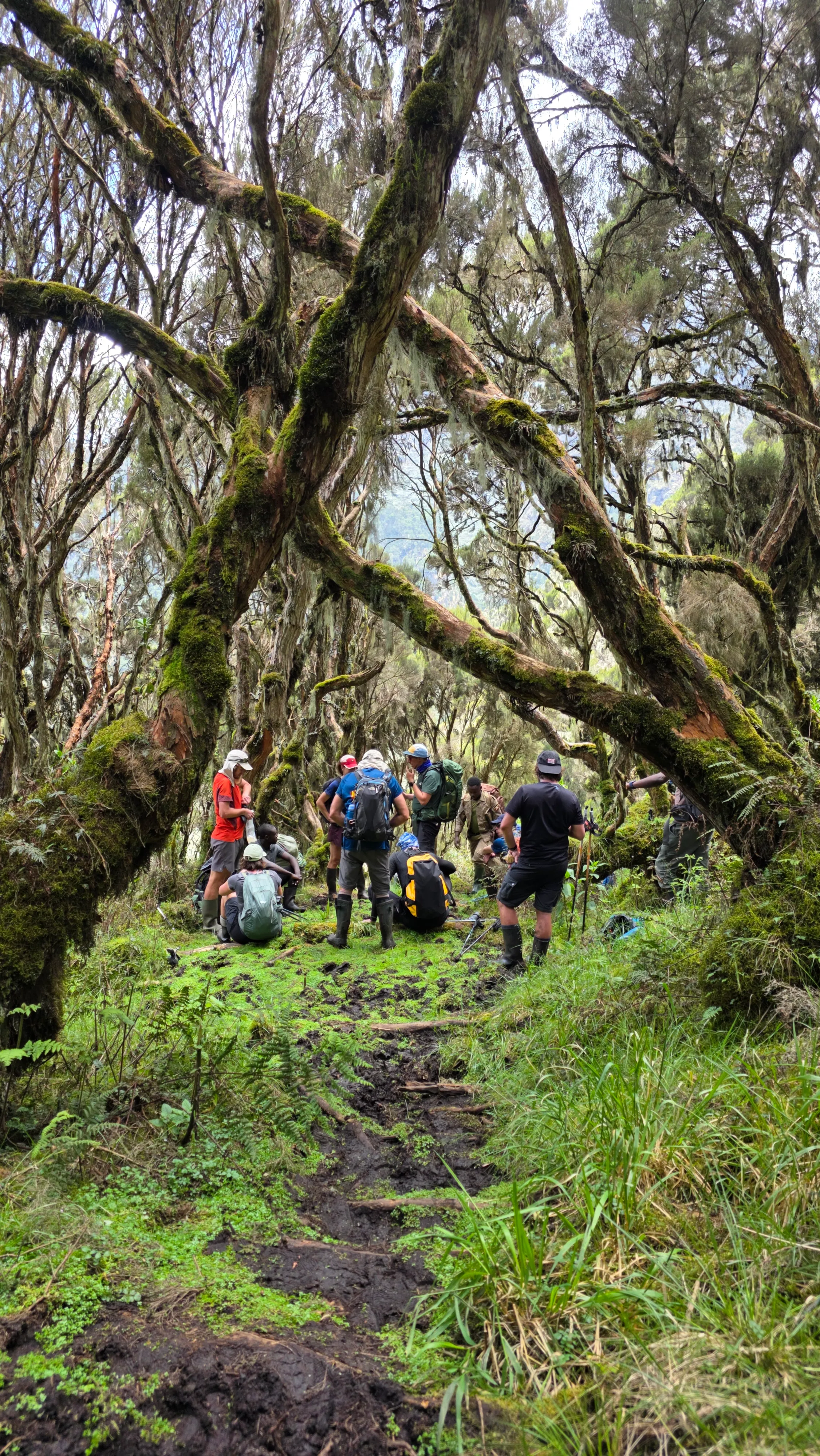 Rwenzori Mountains
