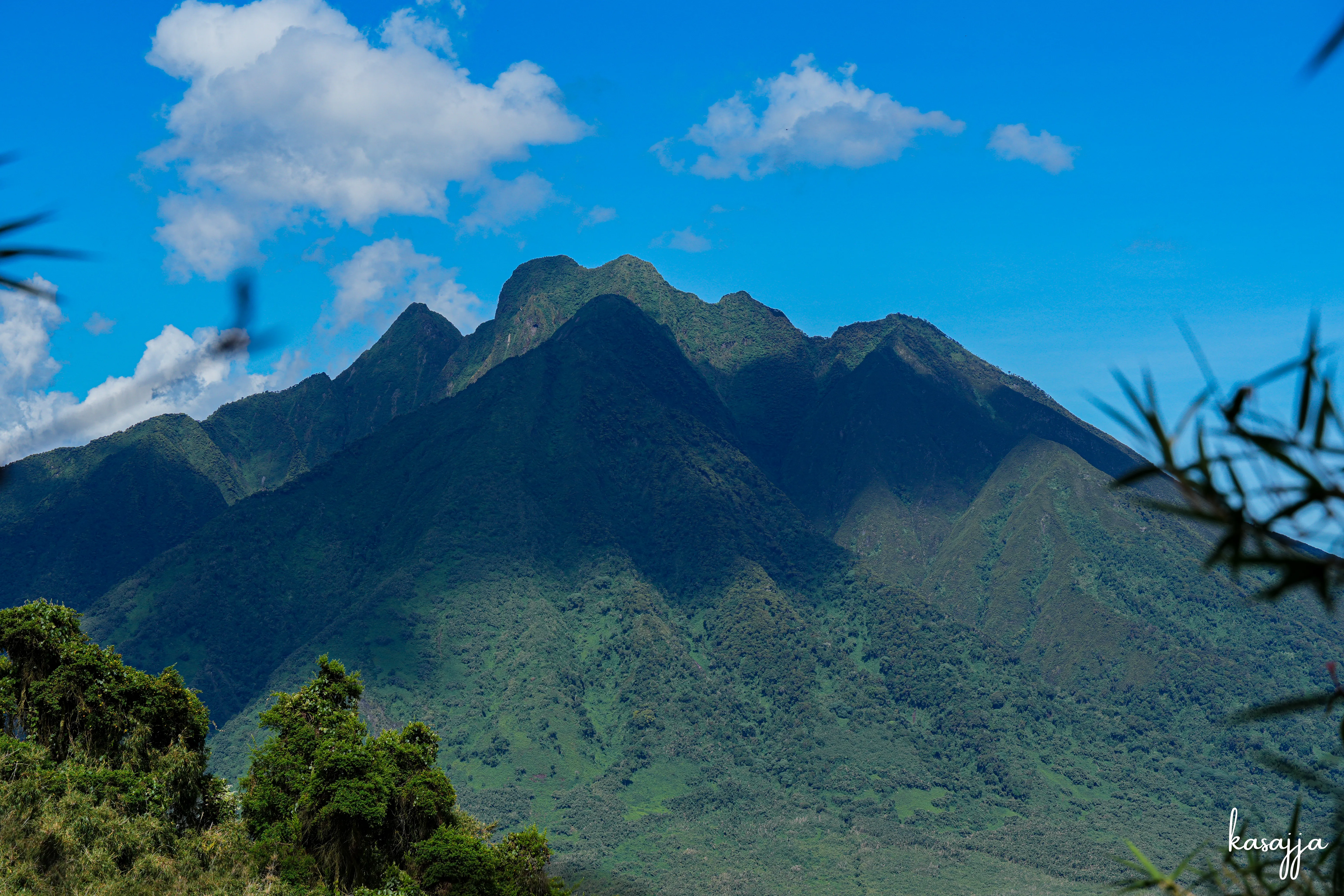 Mount Sabyinyo